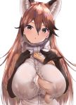  1girl amasora_taichi animal_ears bangs black_gloves blush bow bowtie breasts brown_hair cleavage disembodied_penis fox_ears gloves gradient_hair huge_breasts kemono_friends kemono_friends_3 long_hair looking_at_viewer multicolored_hair open_mouth paizuri penis perpendicular_paizuri red_fox_(kemono_friends) simple_background solo_focus testicles white_background yellow_eyes yellow_neckwear 