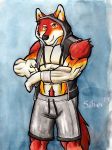  anthro boxing canid canine canis clothing fight hand_wraps hi_res hoodie male mammal muscular muscular_anthro muscular_male painting_(artwork) silverferak sleeveless_hoodie solo sport topwear traditional_media_(artwork) watercolor_(artwork) wolf wraps wrestling 