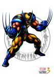  male marvel_vs_capcom marvel_vs_capcom_3 wolverine x-men 