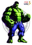 capcom hulk male marvel marvel_vs_capcom marvel_vs_capcom_3 topless torn_clothes transparent_png 