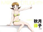  akizuki_ritsuko bikini crease megane swimsuits takeuchi_hiroshi the_idolm@ster xenoglossia 