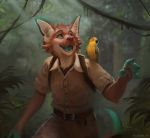  4_fingers anthro avian backpack bird blue_eyes blue_tongue bottomwear canid canine clothed clothing duo fingers fox fur grass green_fingers happy jungle male mammal orange_body orange_fur pants parrot plant smile teeth tongue trunorth white_body white_fur 