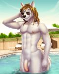  anthro athletic athletic_anthro athletic_male brown_hair canid canine dream_and_nightmare eyewear flaccid fox fur genitals hair hi_res humanoid_genitalia humanoid_penis looking_at_viewer male mammal nude outside pallando99 partially_submerged penis smile solo standing sunglasses swimming_pool water wet white_body white_fur 