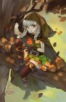  1girl alpaca_carlesi apple boots braid brown_eyes cloak commentary dragon&#039;s_crown elf elf_(dragon&#039;s_crown) english_commentary food fruit gloves grey_hair highres hood hooded_cloak in_tree long_hair pointy_ears shorts sitting sitting_in_tree solo squirrel thigh_boots thighhighs tree tree_branch twin_braids 