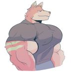  absurd_res anthro biceps big_muscles brown_nose canid canine canis clothing crocobu fur green_body green_fur green_stripes hi_res huge_muscles kane_(crocobu) male mammal multicolored_body multicolored_fur muscular muscular_anthro muscular_male pecs pink_body pink_fur red_eyes shirt simple_background smile solo stripes stripped_fur tan_body tan_fur tight_clothing topwear white_background wolf 