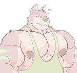  2020 ? absurd_res anthro areola big_areola big_pecs brown_body brown_eyes brown_fur bust_portrait canid canine canis clothing crocobu digital_media_(artwork) domestic_dog fur green_clothing green_shirt green_tank_top green_topwear hi_res husky kane_(crocobu) looking_at_viewer male mammal muscular muscular_anthro muscular_arms muscular_male nordic_sled_dog pecs portrait shirt simple_background solo spitz tank_top topwear white_background 