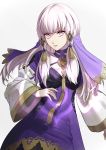  1girl closed_mouth dress fire_emblem fire_emblem:_three_houses hair_ornament highres long_hair long_sleeves lysithea_von_ordelia mueririko pink_eyes simple_background solo upper_body white_hair 