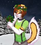  2017 5_fingers anthro brown_eyes canid canine clothed clothing collar deerstail detailed_background digital_media_(artwork) eyebrows eyelashes fingers male mammal night outside sky smile solo star starry_sky 