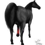  1:1 absurd_res anatomically_correct anatomically_correct_anus anatomically_correct_genitalia anatomically_correct_penis animal_genitalia animal_penis anus backsack balls black_balls black_body butt dessert doughnut equid equine equine_penis feral food genitals hi_res hooves horse looking_at_viewer looking_back male mammal mane muscular muscular_feral muscular_male muscular_thighs orange_eyes penis pink_penis presenting presenting_anus presenting_balls presenting_hindquarters presenting_penis proboscis_(anatomy) raised_tail realistic solo trunk_(anatomy) wildtail_(artist) 