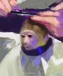  2020 absurd_res ambiguous_gender barber blank_stare brown_body brown_eyes brown_fur brush collar comb_(brush) digital_media_(artwork) digital_painting_(artwork) duo feral fur hairbrush haircut haplorhine hi_res human mammal meme monkey monkey_haircut pale_skin primate rythaze scissors sitting yellow_body yellow_fur 