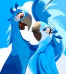  2020 avian beak bird blu_(rio) blue_background blue_body blue_eyes blue_feathers blue_sky_studios brown_eyes duo feathers feral hi_res jewel_(rio) light lighting looking_at_another open_mouth open_smile rio_(series) simple_background smile tohupo white_background 