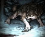  2020 absurd_res anthro canid canine hi_res male mammal rakan ravenmadwolf scar snarling snow solo were werecanid werecanine werewolf 