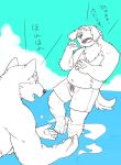  2014 anthro belly canid canine canis clothing domestic_dog duo eyes_closed japanese_text kemono kotori male mammal outside partially_translated sketch slightly_chubby swimwear text translation_request water 