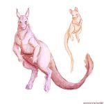  1:1 ambiguous_gender duo feral hi_res kangaroo legendary_pok&eacute;mon macropod mammal marsupial mew mewtwo nintendo ommanyte pok&eacute;mon pok&eacute;mon_(species) simple_background video_games wallaby white_background 