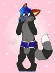  3:4 anthro blue_clothing blue_eyes blue_hair blue_underwear bulge canid canine clothing gaokun hair hi_res male mammal solo underwear 