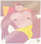  2020 anthro banjo-kazooie banjo_(banjo-kazooie) bed border bulge clothing furniture hi_res inside jewelry looking_at_viewer lying male mammal muscular muscular_anthro muscular_male necklace nipples on_back on_bed pillow rareware shadowmatamori signature smile solo spread_legs spreading underwear ursid video_games white_border 