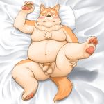  1:1 2020 anthro anus balls bedding belly blanket blush brown_body brown_fur butt canid canine canis domestic_dog eyes_closed fur genitals hi_res hikuchi humanoid_genitalia humanoid_hands humanoid_penis kemono lying male mammal moobs navel nipples overweight overweight_anthro overweight_male penis pillow pubes solo 