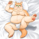  1:1 2020 anthro asian_clothing balls bedding belly blanket brown_body brown_fur bulge canid canine canis clothing domestic_dog east_asian_clothing fundoshi fur genitals hi_res hikuchi humanoid_hands japanese_clothing kemono lying male mammal moobs navel nipples overweight overweight_anthro overweight_male penis pillow solo underwear 