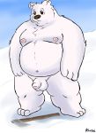  2020 absurd_res anthro axe balls black_nose cartoon_network eeveecholo flaccid fur genitals hi_res humanoid_genitalia humanoid_penis ice_bear male mammal melee_weapon moobs navel nipples outside overweight overweight_anthro overweight_male penis polar_bear sad snow solo ursid ursine we_bare_bears weapon white_body white_fur 