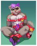  4:5 anthro balls bodily_fluids christmas_decorations coffeecat4321 cum digital_media_(artwork) erection fur genital_fluids genitals gift hair kemono looking_at_viewer male mammal muscular muscular_anthro muscular_male nude penis procyonid raccoon simple_background smile solo 