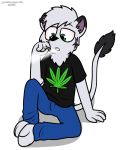  4:5 alpha_channel anthro clothed clothing drugs felid fur hair lion male mammal marijuana pantherine pokefound sitting smoking solo 