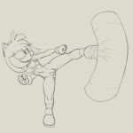 amy_rose anthro bottomless clothed clothing eulipotyphlan female footwear fours_(artist) hedgehog hi_res kick mammal sandbag shoes solo sonic_the_hedgehog_(series) sportswear training 