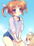  1girl bangs blue_sky blue_swimsuit blush brown_hair chonkoo commentary cowboy_shot day eyebrows_visible_through_hair eyes_visible_through_hair ferret leaning_forward looking_at_viewer lyrical_nanoha mahou_shoujo_lyrical_nanoha no_pants old_school_swimsuit one-piece_swimsuit outdoors purple_eyes school_swimsuit see-through shirt shirt_tug short_hair short_sleeves skindentation sky solo standing swimsuit t-shirt takamachi_nanoha twintails wet wet_clothes wet_shirt white_shirt yuuno_scrya 