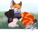 ailurid anthro book clothed clothing fluffy gingy_k_fox mammal outside reading red_panda scarf sitting 