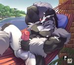  2020 abs anthro balls biceps black_body black_fur butt erection fur genitals hammock hand_behind_head hi_res lying male masturbation multicolored_body multicolored_fur muscular muscular_anthro muscular_male nexus nintendo nipples nude obstagoon on_back one_leg_up open_mouth pecs penis pillow pok&eacute;mon pok&eacute;mon_(species) quads raised_leg red_sclera scenic_view solo spread_legs spreading teeth triceps two_tone_body two_tone_fur video_games white_body white_fur 