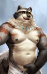  5_fingers anthro decoration fingers fur grey_body grey_fur hi_res male mammal muscular muscular_anthro muscular_male nipples nviek5 organs procyonid raccoon smile solo stomach white_body white_fur yellow_eyes 