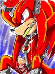  knuckles_the_echidna manaita sega sonic_team tagme 