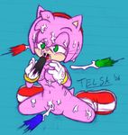  amy_rose archie_comics knuckles_the_echidna scourge_the_hedgehog shadow_the_hedgehog sonic_team sonic_the_hedgehog telsa 