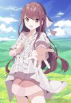  1girl :d blue_sky bow braid brown_eyes brown_hair center_frills cloud commentary day dress english_commentary field frills hair_bow highres long_hair looking_at_viewer open_mouth outdoors outstretched_arm pink_dress rin_(shelter) shelter_(music_video) sky smile solo standing tantan_men_(dragon) very_long_hair white_bow white_dress 
