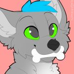  1:1 canid canine canis free_art icon mammal rockywolf27 wolf 