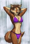  2020 anthro bathing big_breasts bikini black_nose breasts brown_body brown_eyes brown_fur brown_hair canid canine canis carnivore chest_tuft cleavage clothed clothing countershade_face countershade_legs countershade_tail countershade_torso countershading digital_media_(artwork) female fur hair hands_behind_head hi_res inner_ear_fluff looking_at_viewer mammal mightyraptor multicolored_body multicolored_fur natural_shower nature navel purple_bikini purple_clothing purple_swimwear showering smile solo standing stella_phenn swimwear tan_body tan_countershading tan_fur tuft two_tone_body two_tone_fur water waterfall wet wet_body wet_fur wolf 