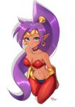  1girl arms_at_sides blue_eyes bra breasts circlet closed_mouth dark_skin earrings genie highres jewelry looking_at_viewer medium_breasts pants pointy_ears ponytail purple_hair red_bra red_pants shantae_(character) shantae_(series) underwear upper_body wakaba_(wata_ridley) 