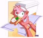  amy_rose malachi sega sonic_team tagme 