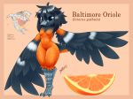  absurd_res anthro avian baltimore_oriole beak bird bird_feet black_body black_feathers black_hair blasticussaturn breasts english_text feathered_wings feathers featureless_breasts female food fruit hair hi_res icterid looking_at_viewer map new_world_oriole non-mammal_breasts orange_(fruit) orange_body orange_feathers orange_slice oscine passerine plant raised_arm signature simple_background solo tail_feathers talons text wings 