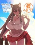  1girl alternate_hairstyle animal_ear_fluff animal_ears backlighting bare_shoulders breasts brown_hair cleavage cloud cloudy_sky fangs fanning_self hot huge_breasts imaizumi_kagerou long_hair open_mouth otoufu_(wddkq314band) partially_undressed ponytail red_eyes shirt sky solo sweat tail tied_skirt touhou translation_request very_long_hair wet wet_clothes wet_shirt wolf_ears wolf_tail 