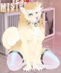  &lt;3 2020 5_fingers anthro binxxy_(artist) blue_eyes breasts canid canine canis claws clothing collar curled_tail domestic_dog featureless_breasts female fingers fur hi_res kneeling leggings legwear mammal nordic_sled_dog nude on_ground pink_nose samoyed solo spiked_collar spikes spitz thigh_highs yellow_body yellow_fur 