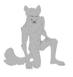  angry animal_genitalia anthro balls canid canine fwisp genitals kneeling looking_at_viewer male mammal muscular muscular_anthro muscular_male nude penis sheath simple_background sketch solo 