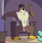  anthro avian balls big_balls big_penis_humiliation bird disney ducktales ducktales_(2017) falcon falcon_graves falconid foreskin furniture genitals male muscular muscular_anthro muscular_male nude penis sofa solo teasing uncut wulfenski_(artist) 