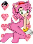  amy_rose sega sonic_team tagme zetar02 