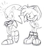  amy_rose ccn sega sonic_team sonic_the_hedgehog 