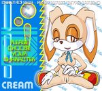  bbmbbf cream_the_rabbit sega sonic_team tagme 