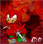  knuckles_the_echidna perverted_bunny sega sonic_team tagme 