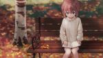  1girl autumn_leaves bangs bench blue_eyes blurry blurry_background book_on_lap brown_hair cell_(diox) eyebrows_visible_through_hair haibara_ai hair_between_eyes highres looking_down meitantei_conan reading ribbed_sweater shiny shiny_hair short_hair sitting solo sunlight sweater white_sweater 