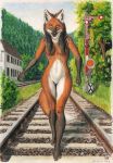  ballast building canid canine female forest fur german_railway_signalling hair hi_res looking_down mammal maned_wolf mountain nude orange_body orange_fur plant plantigrade railway railway_signal semaphore solo syntech tree walking 