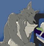  2007 anthro bed black_nose bodily_fluids canid canine canis crying fur furniture grey_body grey_fur humanoid_hands low_res male mammal pillow sitting solo tartare tears wolf wolf64 