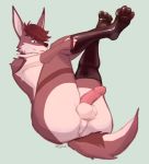  anthro balls beyzul big_butt butt canid canine canis genitals hi_res jackal kael_(beyzul) latex_stockings male mammal penis presenting rubber solo 